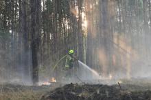 Kolejny pożar w Nadleśnictwie Kliniska