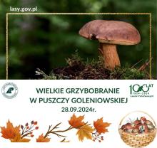 Wielkie Grzybobranie w Puszczy Goleniowskiej