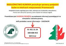 Poszukiwany sprawca podpaleń