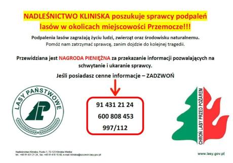Poszukiwany sprawca podpaleń