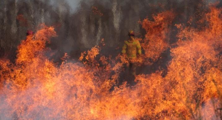 Fot. Kacper Borkowski. Zdjęcie zdobyło II nagrodę w kategorii "Leśne prace" w XIV edycji konkursu fotograficznego „Lasy w obiektywach leśników”
